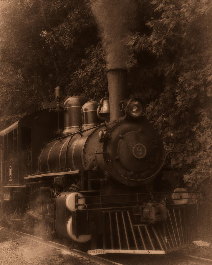 Black And White Photograph - Steam engine train sepia by Flees Photos