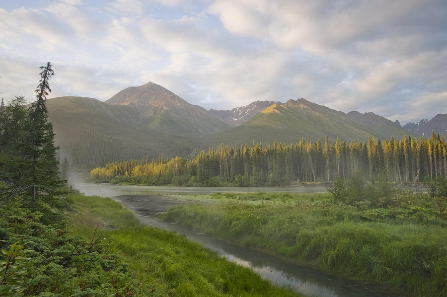 Steam Rising From Moores Hot Springs Photograph by Peter Mather - Fine ...