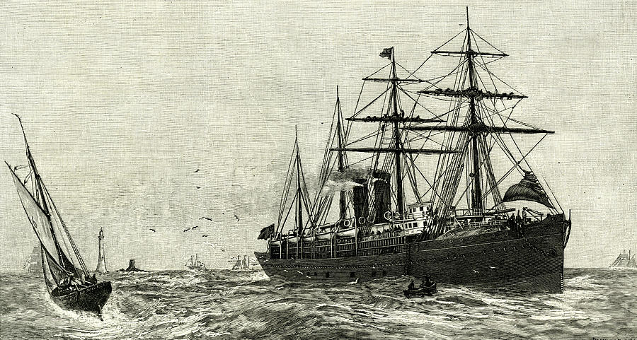 Transportation Drawing - Steam Ship Ormuz Australia To England 1887 Eleven Thousend by Australian School