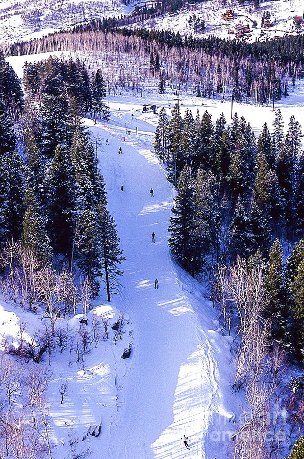 Steamboat Springs Colorado Ski Trail. Photograph by Robert Birkenes