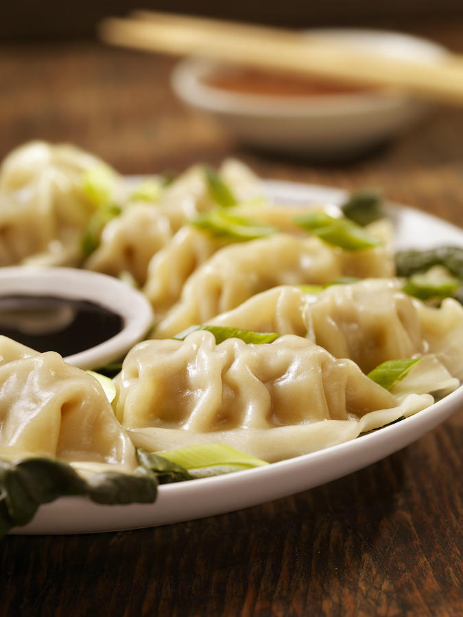 Steamed Dumplings Photograph by LauriPatterson