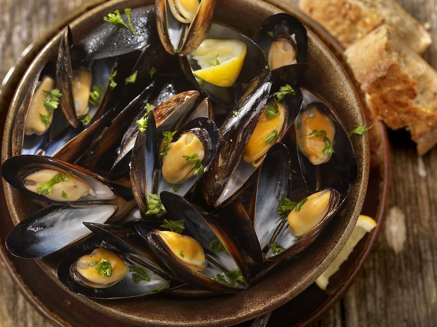 Steamed Mussels Photograph by Lauri Patterson