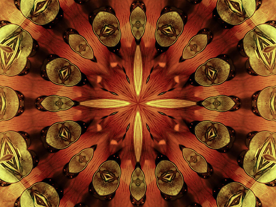 Steampunk Kaleidoscope 3 Photograph by Shawna Rowe