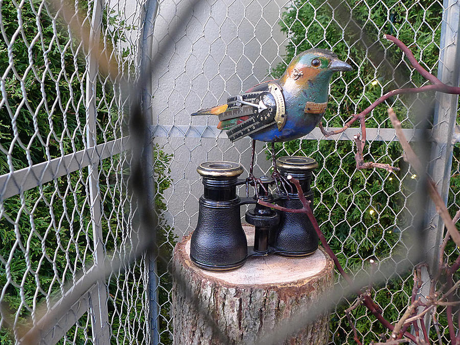 Steampunk Metal Bird Watcher Photograph by Richard Reeve