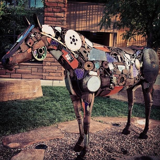 Steampunk Pony. #exploring_shotz Photograph by Michele Beere
