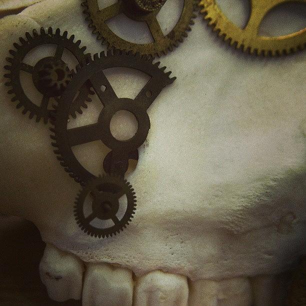 Skull Photograph - #steampunk #skull #clockworks #cogs by Heidi Cutter