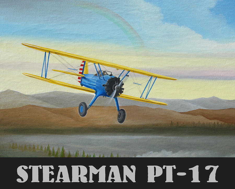Stearman PT-17 Training Flight Painting by Stuart Swartz