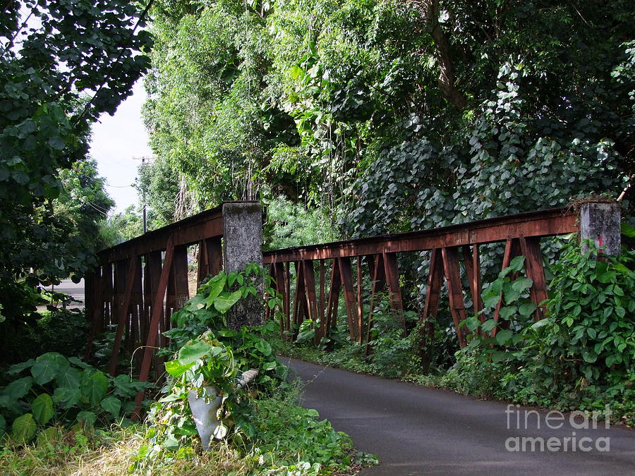 Steel Bridge Opaekaa Road Kauai Photograph by Mary Deal