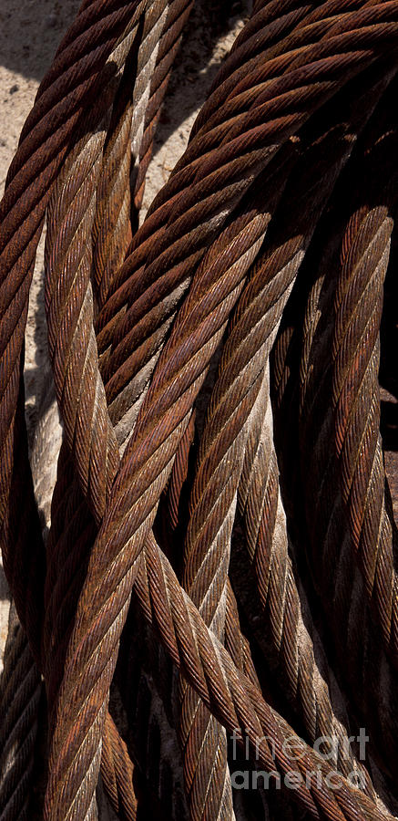 Steel Cable   #0757 Photograph