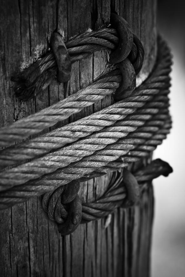 Steel Cable On Pile Photograph by Bradley R Youngberg