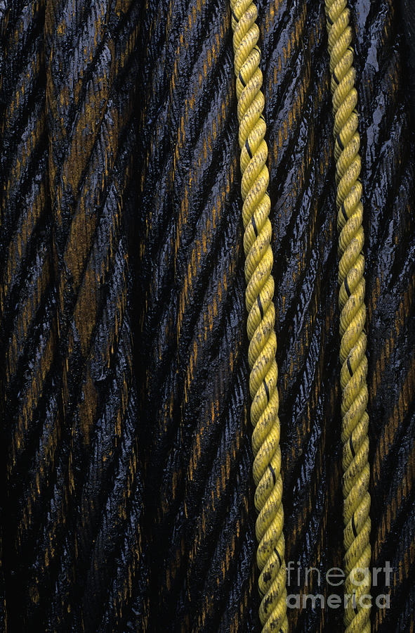 Steel Cables Photograph by Jim Corwin