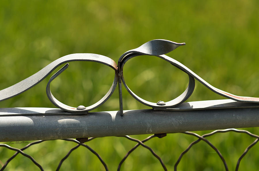Steel Fence Decor Photograph by Kae Cheatham