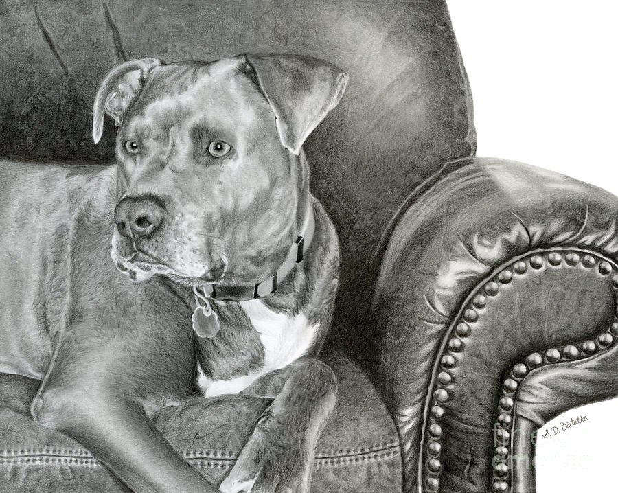 Dog Portrait Drawing - Leather and STEEL by Sarah Batalka Dog Portrait Drawing - Leather and STEEL by Sarah Batalka