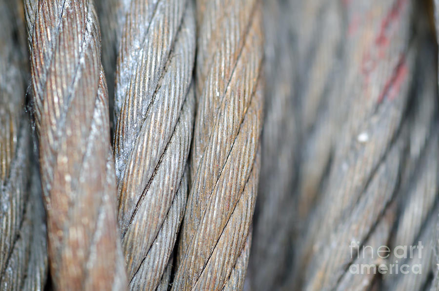 Steel Photograph - Steel wire by Mats Silvan