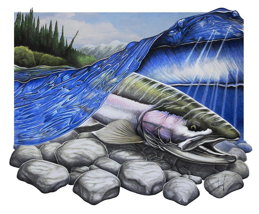 Trout Painting - Steelhead Dreams by Nick Laferriere