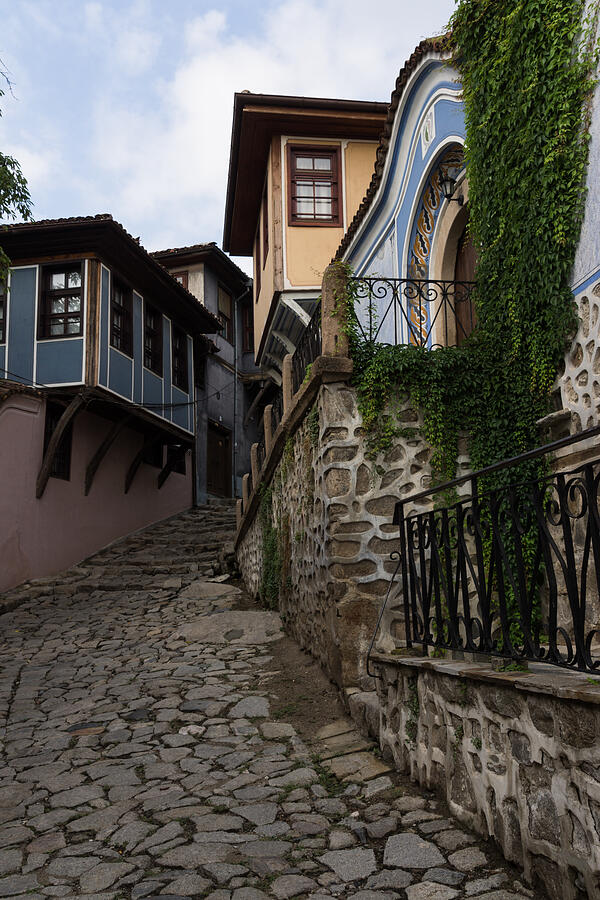 Steep and Twisting Cobblestone Street Photograph by Georgia Mizuleva ...