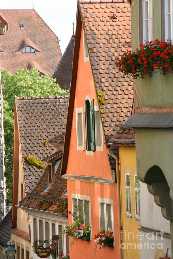 Steep Roofs In Germany Photograph by Holly C. Freeman