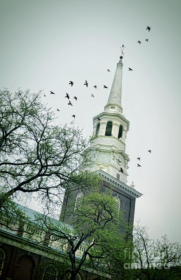 Steeple of Old Church with Birds Photograph by Jill Battaglia
