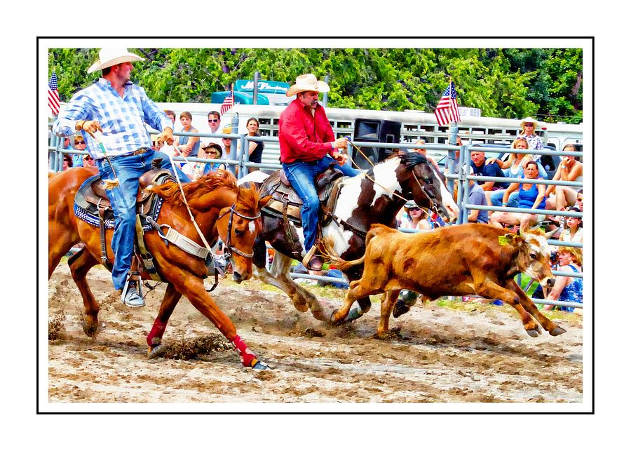 Steer Running Photograph by Alice Gipson - Fine Art America