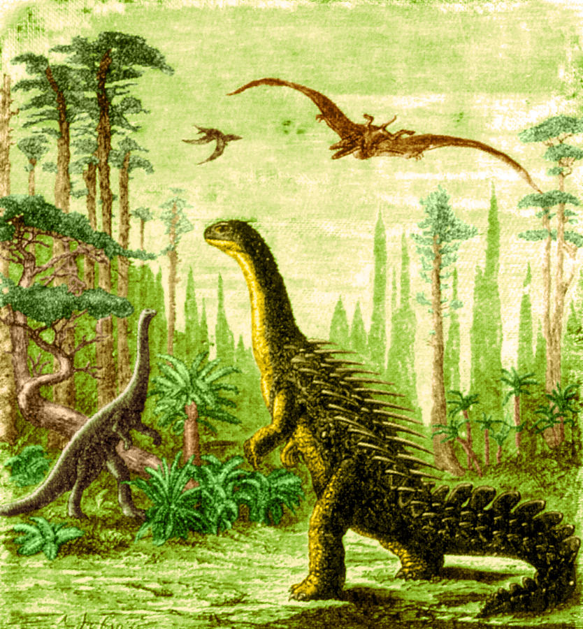 Stegosaurus And Compsognathus Dinosaurs Photograph by Science Source