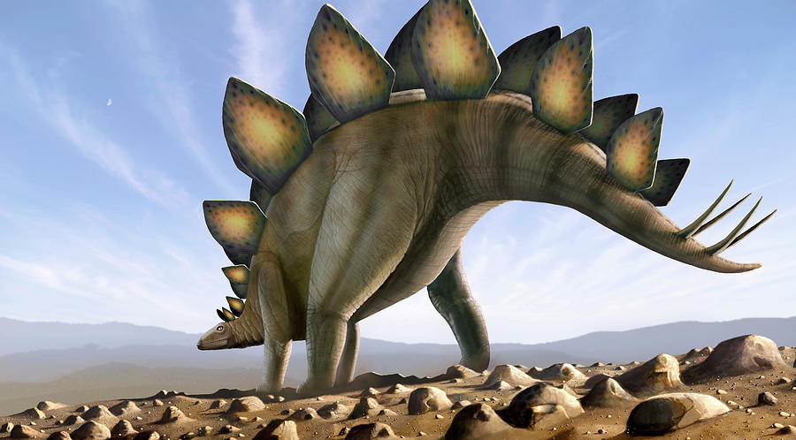 t rex stegosaurus