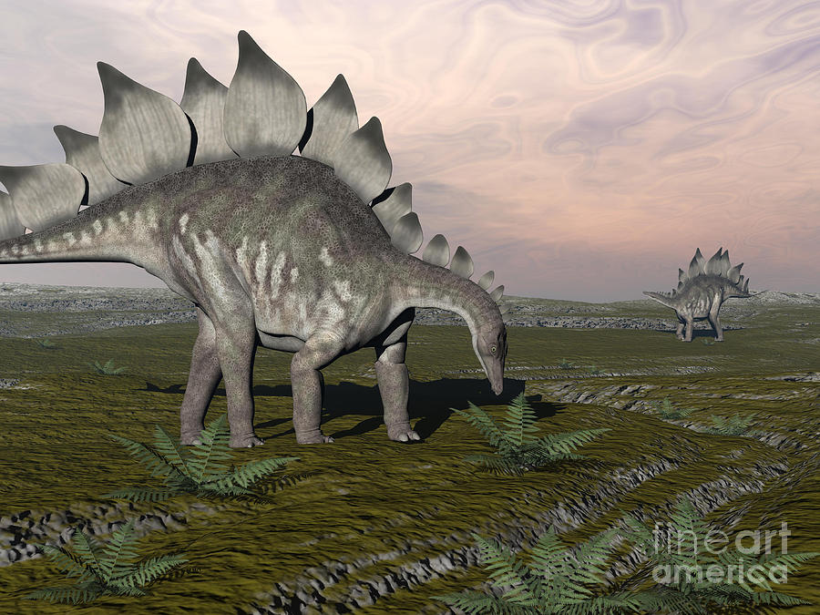 Dinosaur Digital Art - Stegosaurus Dinosaurs Grazing On Plants by Elena Duvernay