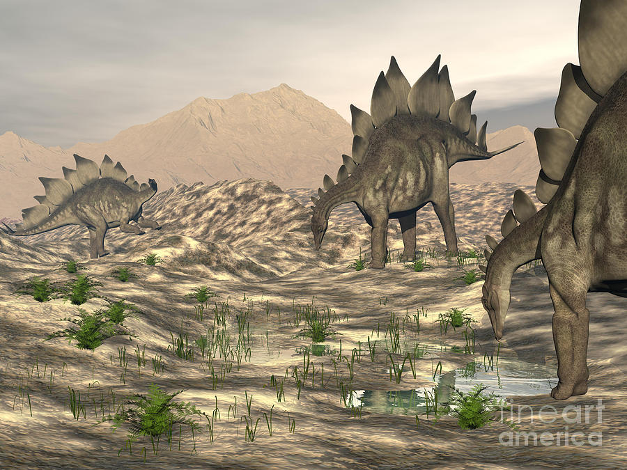 Stegosaurus Dinosaurs Searching Digital Art