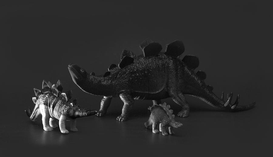 Stegosaurus Photograph by Nathan Abbott