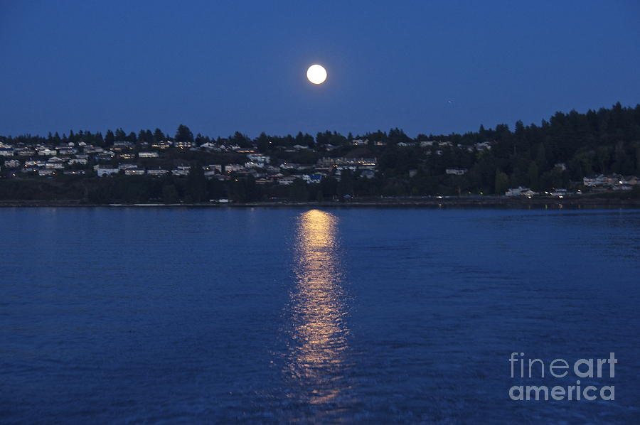 Steilacoom Moonrise Photograph by Sean Griffin