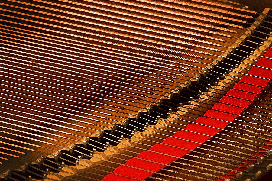 Steinway Piano Strings DB Photograph by Rich Franco
