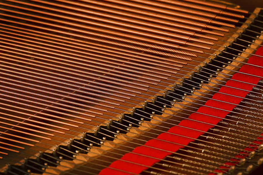 Steinway Piano Strings Photograph by Rich Franco