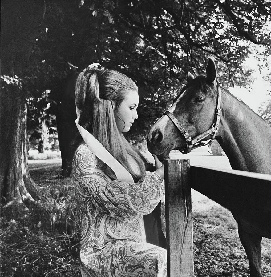 Stella Astor With A Horse Photograph by Henry Clarke