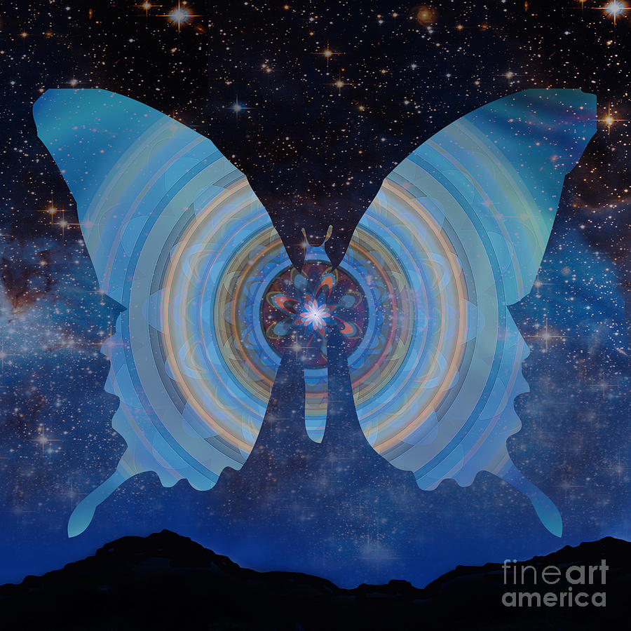 Stellar Butterfly Painting by Shelley Myers