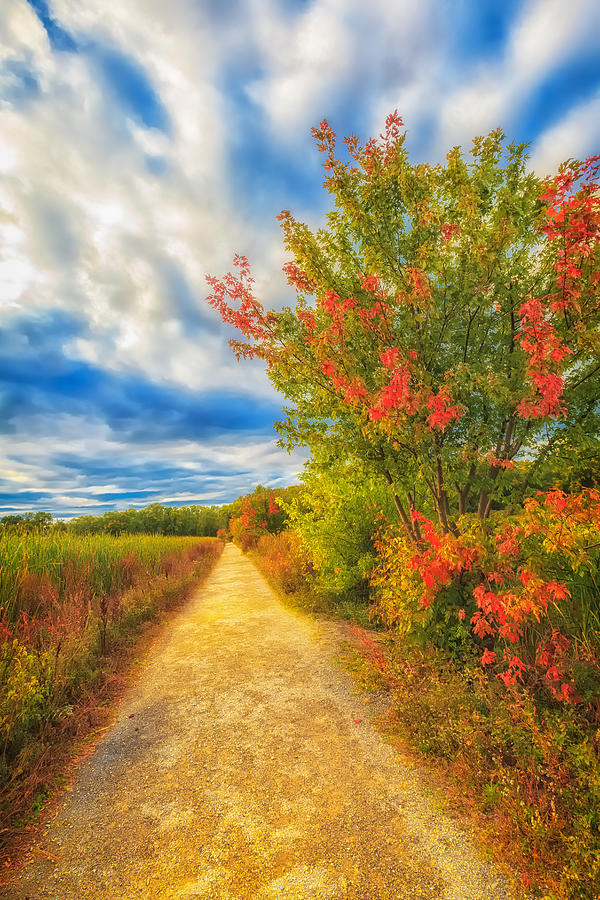 Step back into Fall Photograph by Sylvia J Zarco