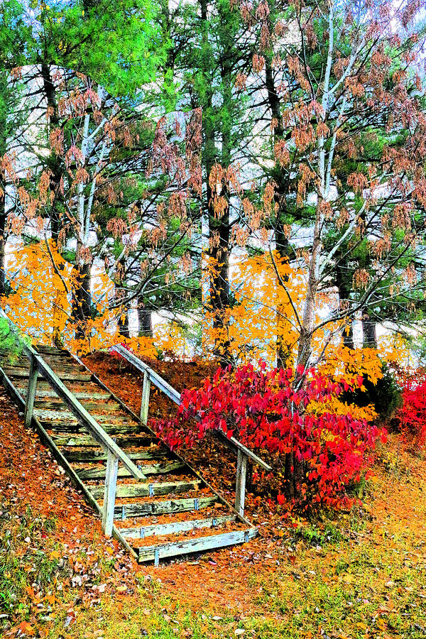 Fall Photograph - Step Into Autumn by Lorna Rose Marie Mills DBA  Lorna Rogers Photography