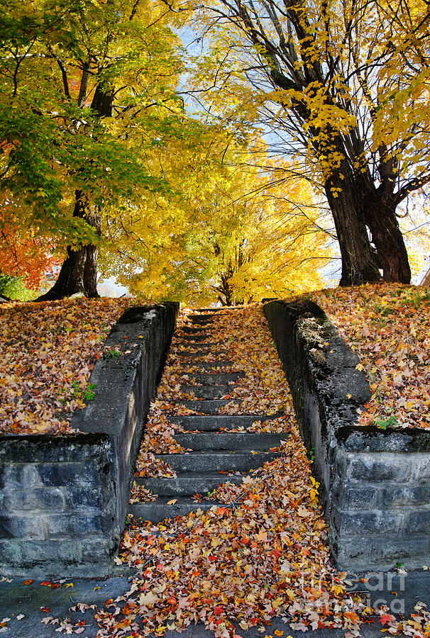 Step Into Fall Photograph by Paul Mashburn