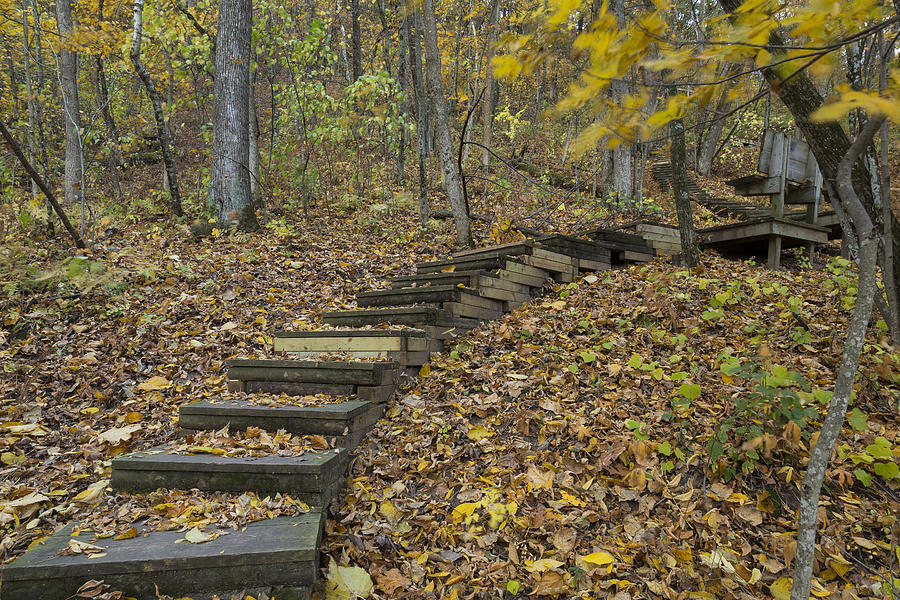 Fall Photograph - Step Trail In Woods 12 by John Brueske