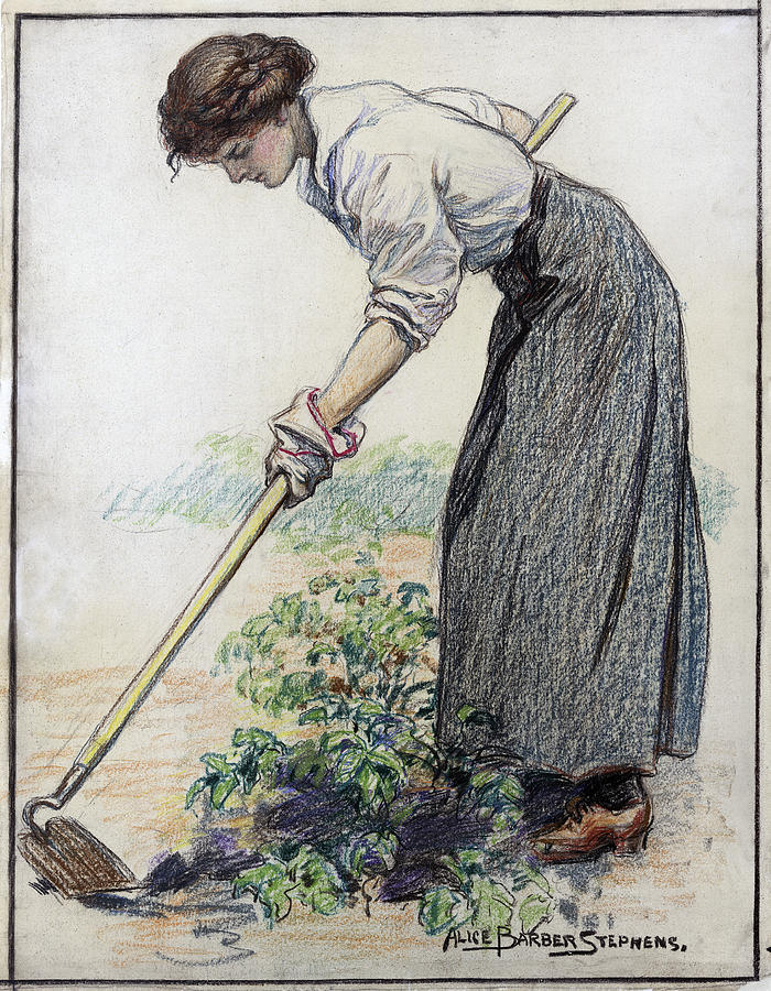Stephens Gardening, C1917 Drawing by Granger