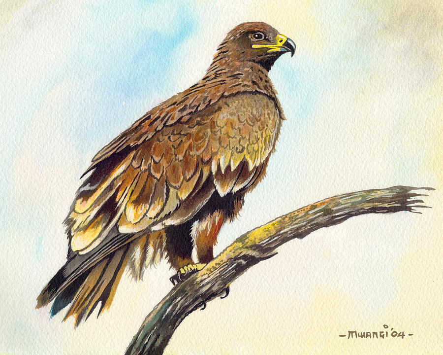 Steppe Eagle Painting by Anthony Mwangi