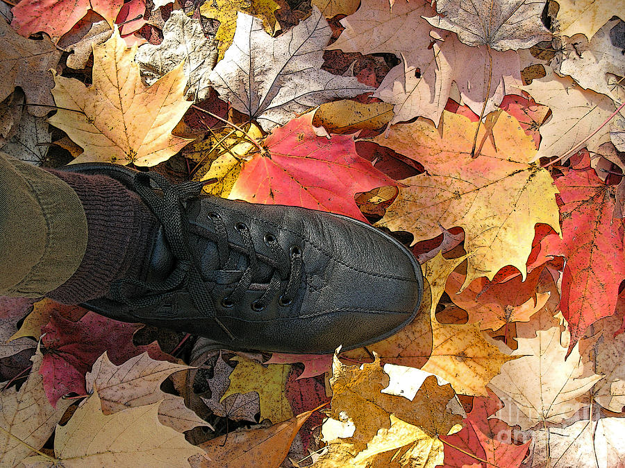 Stepping into Autumn Photograph by Ann Horn
