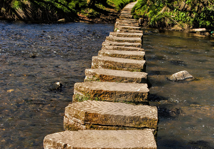 Nature Photograph - Stepping Stones at Lealholm by Trevor Kersley