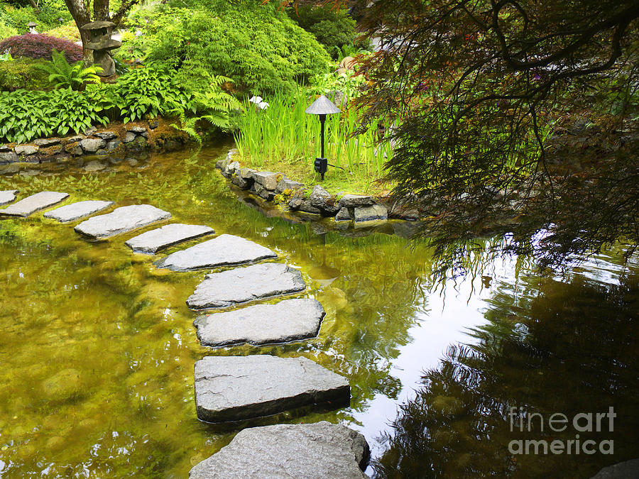 Stepping stones Photograph by Brenda Kean