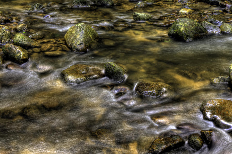 Nature Photograph - Stepping Stones by Harry B Brown