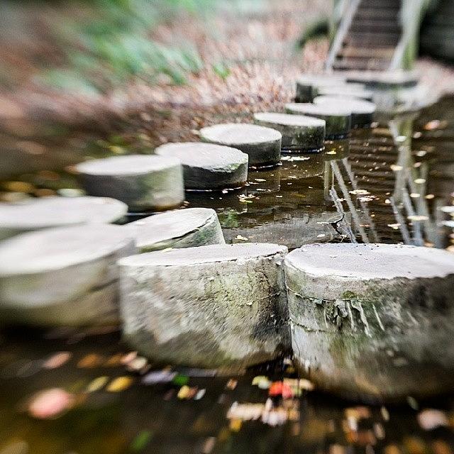 Stepping Stones Photograph by Rj Photogalleries