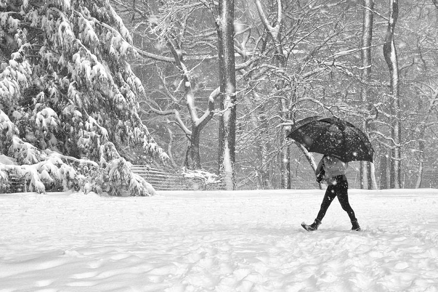 Stepping Throught The Snow Photograph by Cornelis Verwaal