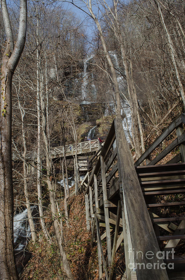 Steps At Amicalola Falls Photograph by Donna Brown
