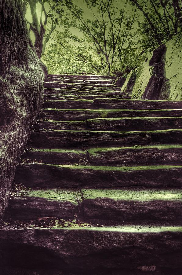 Steps in Central Park - New York Photograph by Marianna Mills