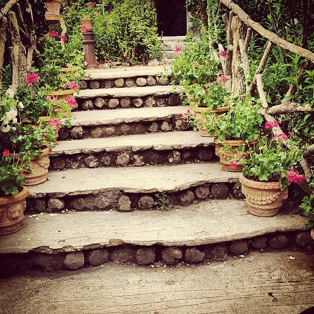 Flower Photograph - Steps in Giverny by Danielle McComb
