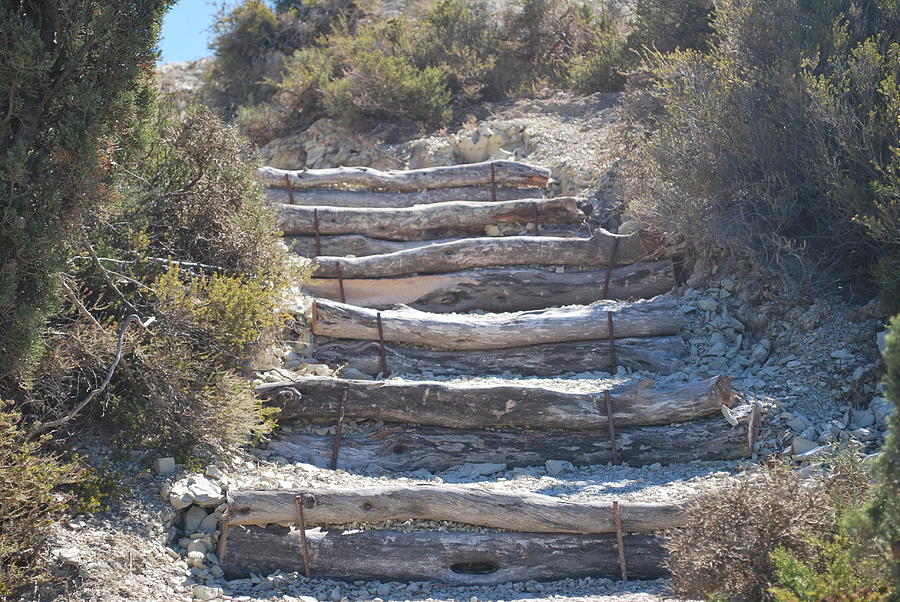 Steps In The Woods Photograph by George Katechis