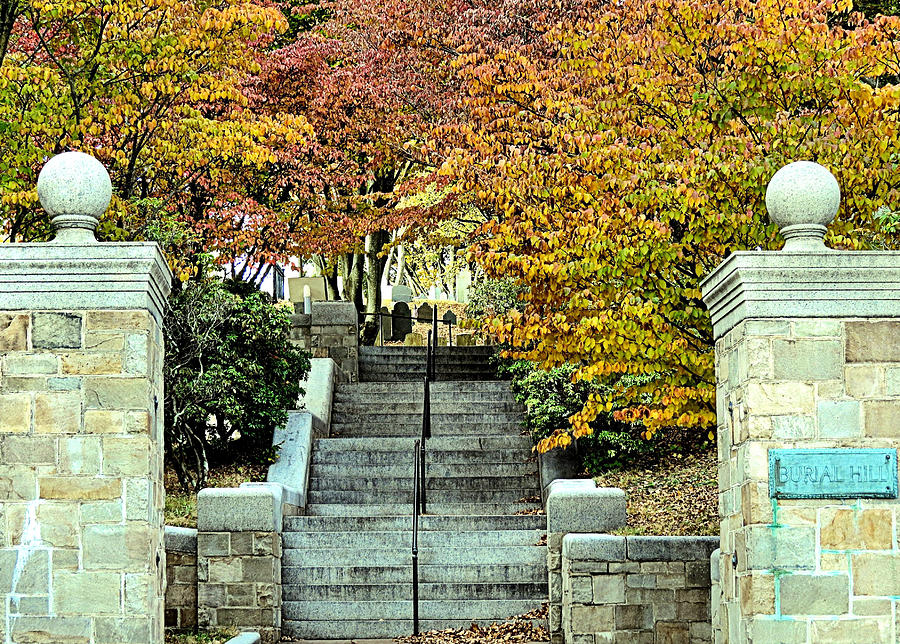 Steps into History Photograph by Janice Drew